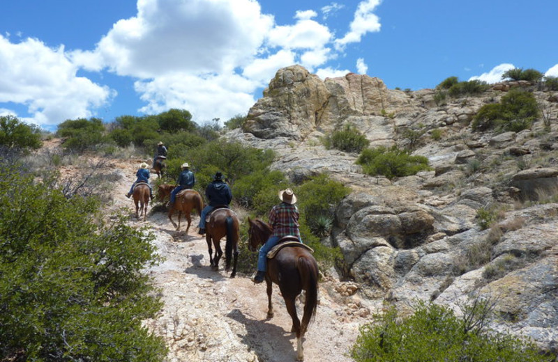 Horseback riding at Circle Z Ranch.