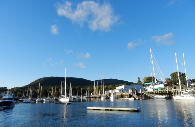 Marina near Cedar Crest Inn.