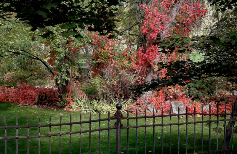 Garden at Riverside Hot Springs Inn & Spa.