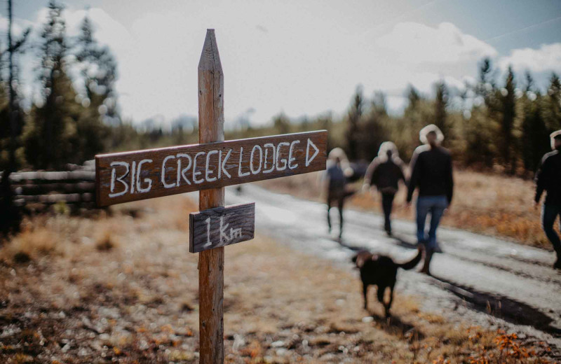 Hiking trail at Big Creek Lodge.