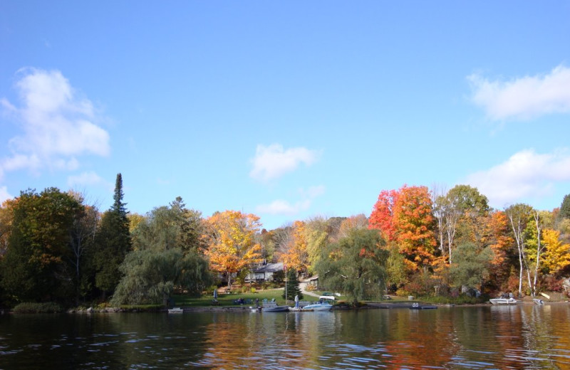 Exterior view of Ogopogo Resort.