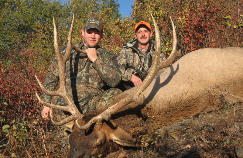 Elk hunting at Clark Fork Outfitters.