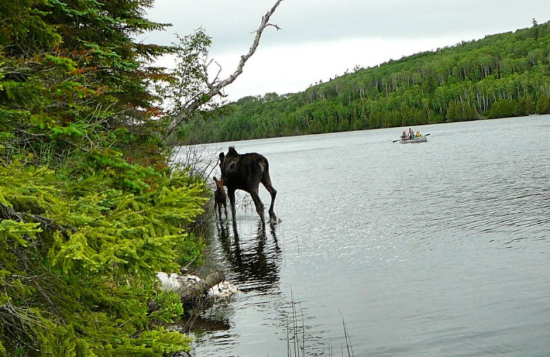 Lake view at Bearskin Lodge.