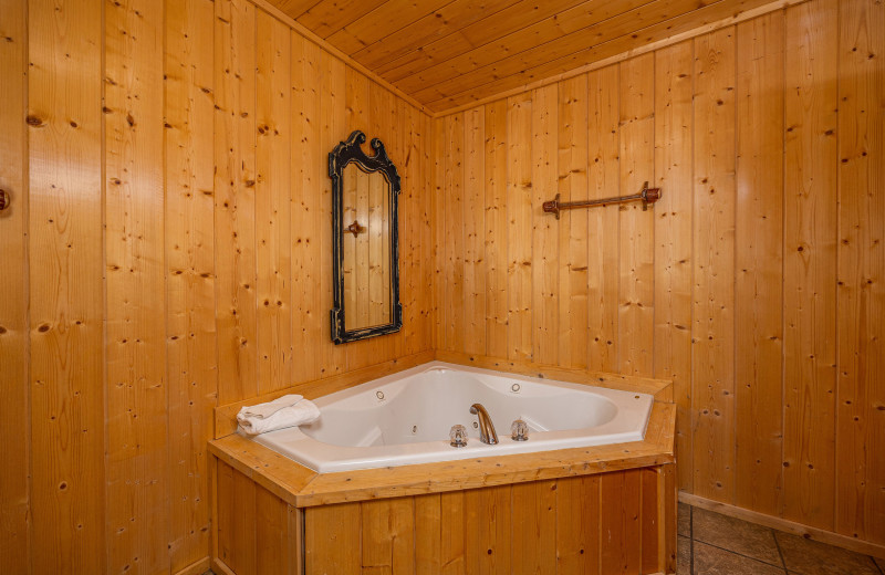 Bathroom at American Patriot Getaways - A Stunning View.