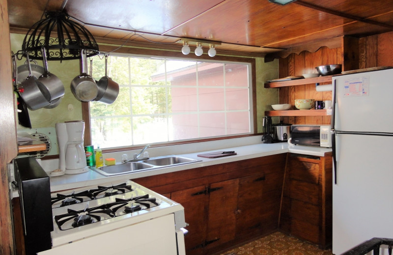 Cabin kitchen at Gypsy Villa Resort.