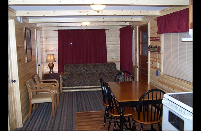 Cabin living room and kitchen at Isle O' Dreams Lodge.