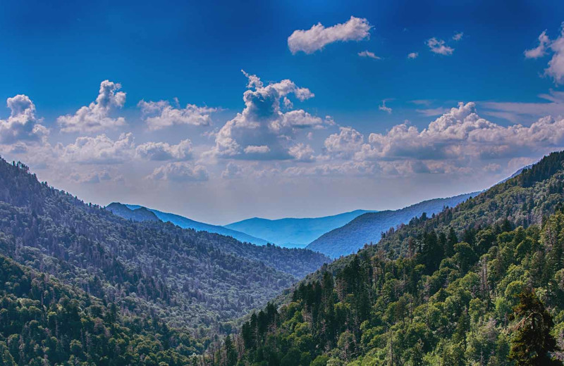 Mountains at Smoky Mountain Cabins.