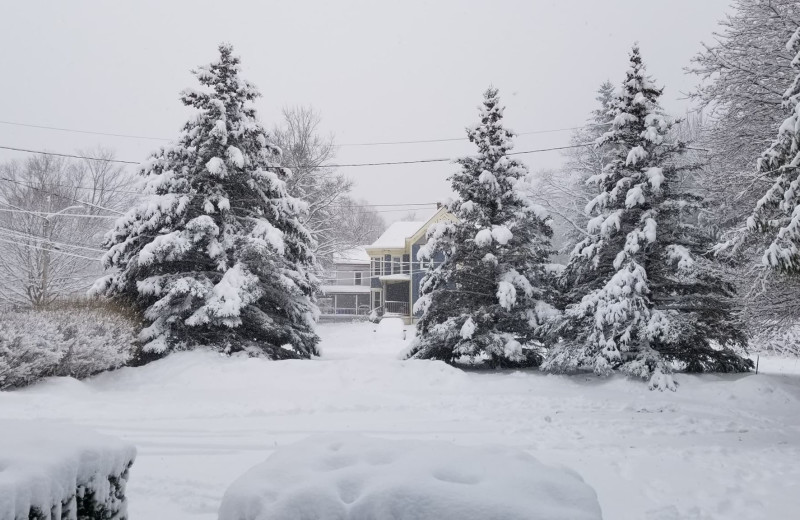 Winter at Hammo's Lodge.