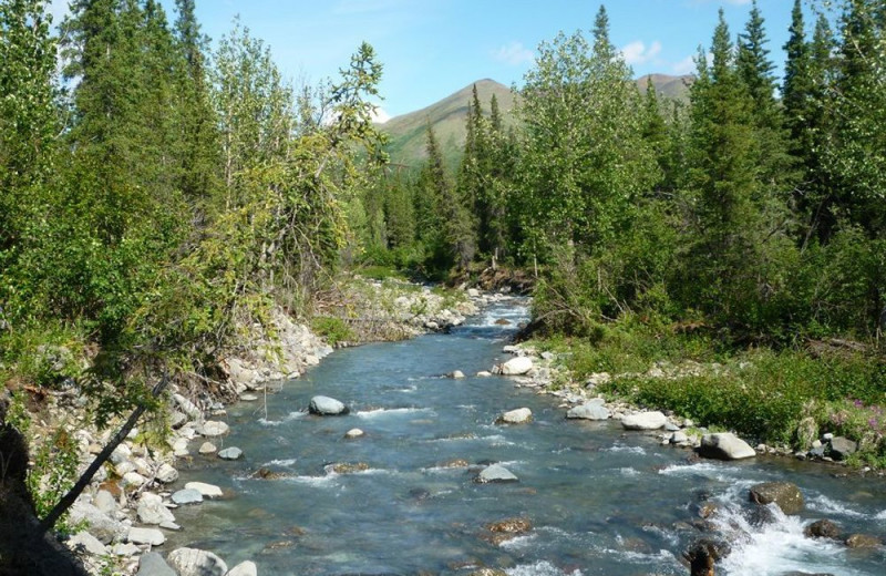 River at Denali Perch Resort.