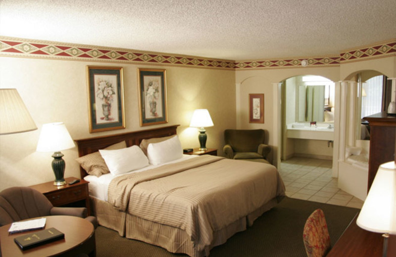 Guest room at Best Western Inn of the Ozarks.