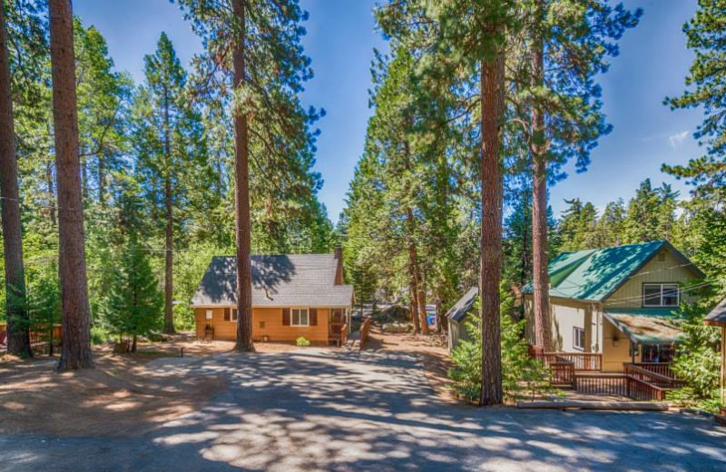 Cabins at Knotty Pine Cabins.