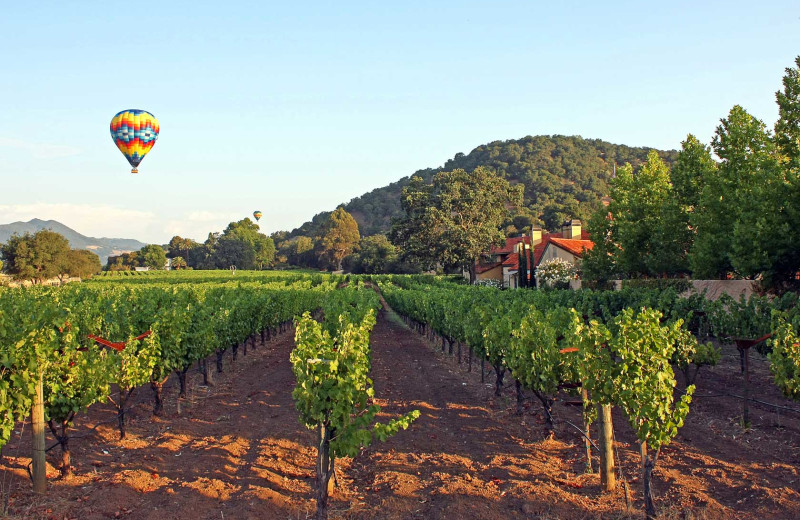 Exterior view of Napa Valley Lodge.