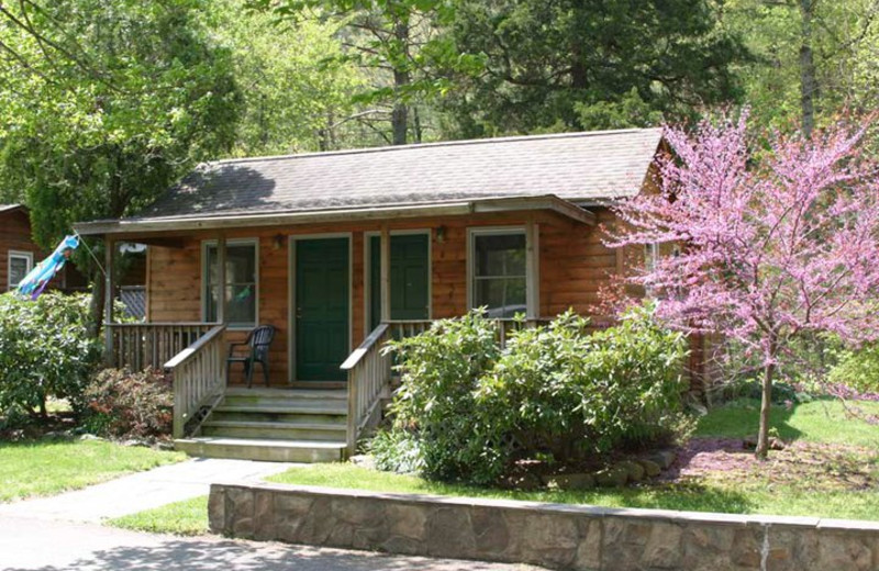 Cabin Exterior at Brookside Cabins