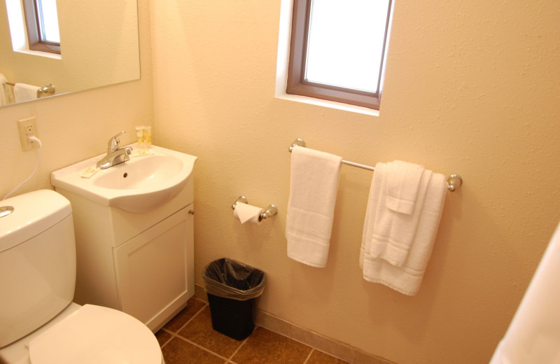 Guest bathroom at Alpine Lodge.