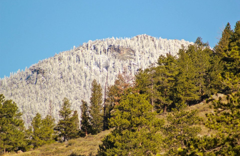 Mountain view at McGregor Mountain Lodge.