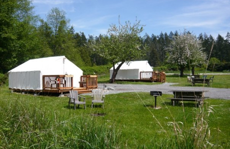 Tent cabins at West Beach Resort.