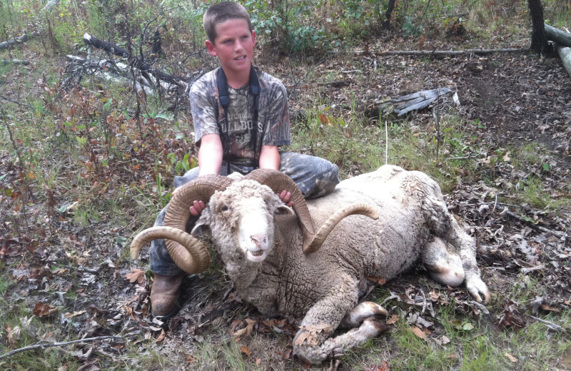 Baribroussa Ram hunting at Caryonah Hunting Lodge.