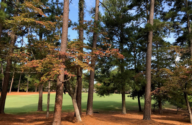 Golf course at Sandhills Rentals.