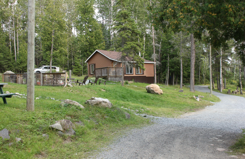 Cabin exterior at Olive the Lake.