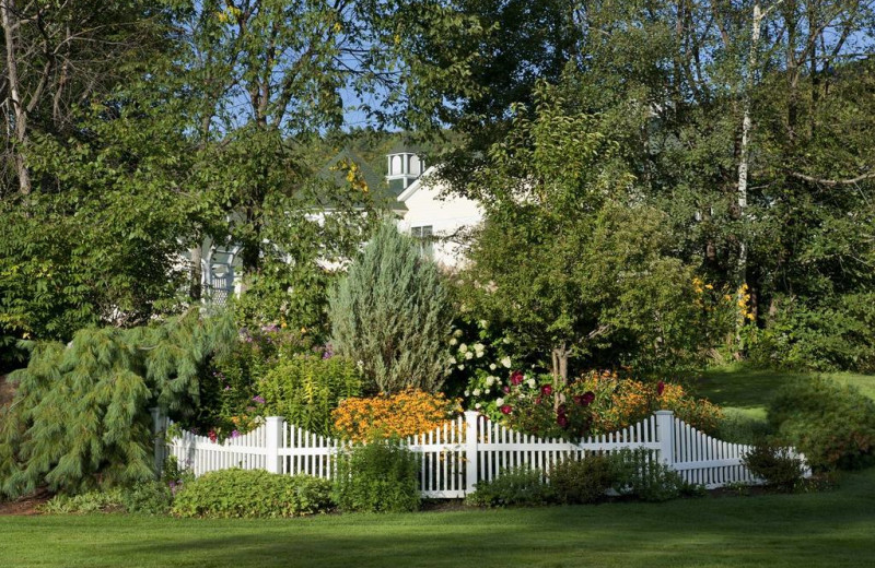 Garden at Snowflake Inn.