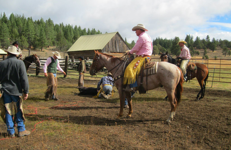 Horseback riding at Aspen Ridge Resort.