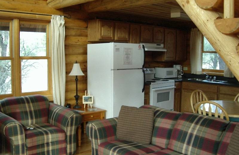 Cabin living room at Newton Fork Ranch.