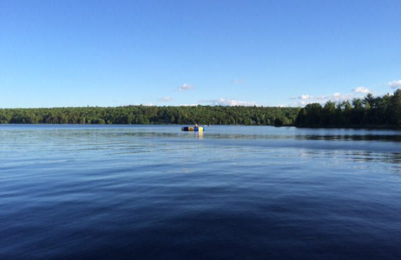 Lake view at Snowy Owl Cabins.