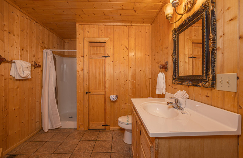 Bathroom at American Patriot Getaways - A Stunning View.