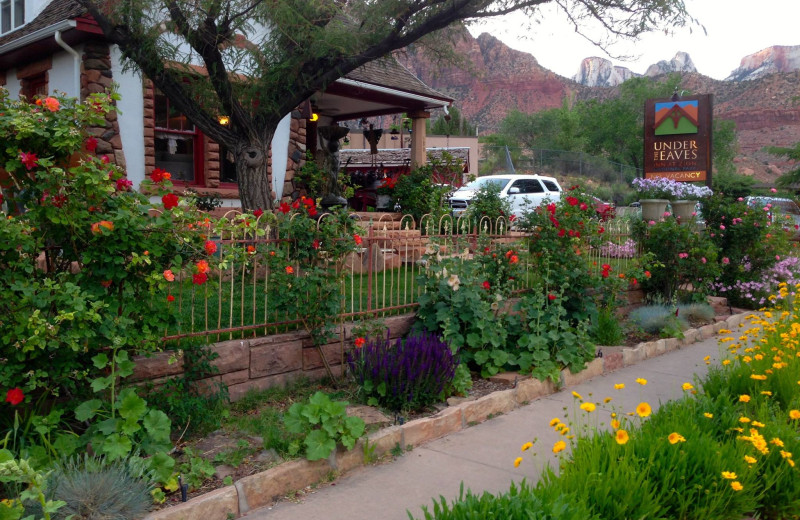 Exterior view of Under The Eaves Bed & Breakfast.