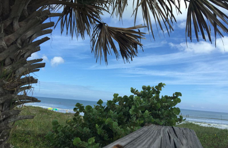 Beach at Coral Sands Oceanfront Resort.