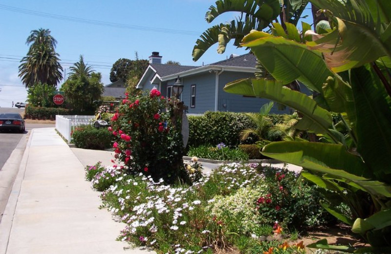 Exterior view of Pelican Cove Inn Bed & Breakfast.