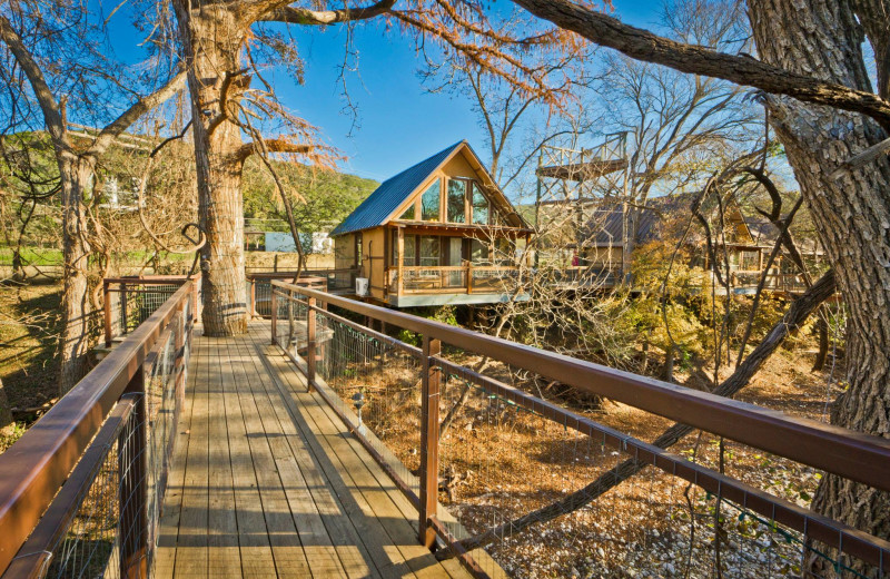 Boardwalk at River Road Treehouses.