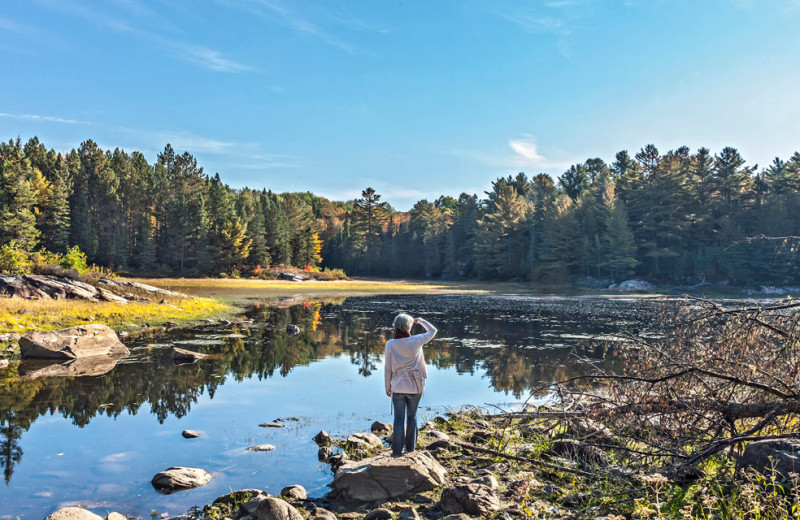 Scenic view at Killarney Lodge in Algonquin Park.