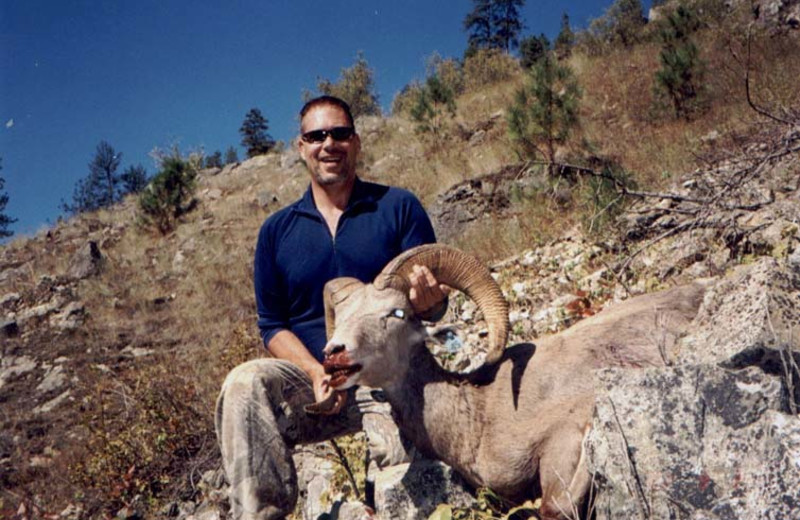 Big horn sheep hunting at Silver Spur Outfitters.