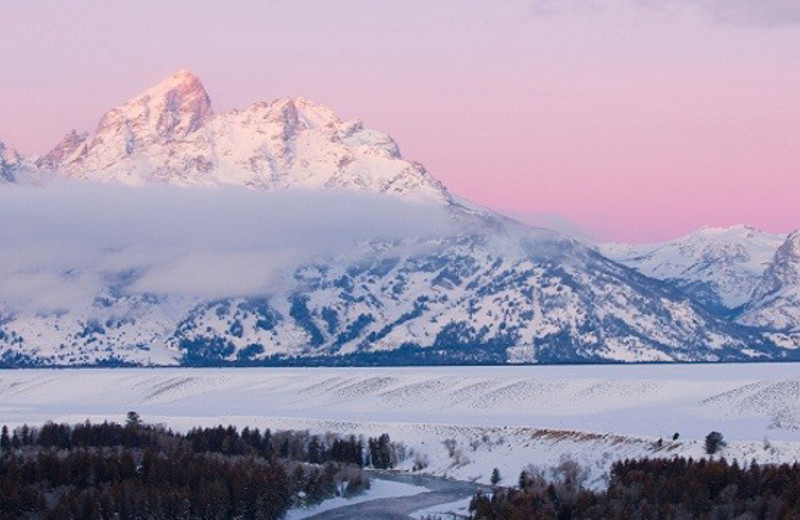 Beautiful Grand Tetons at Parkway Inn
