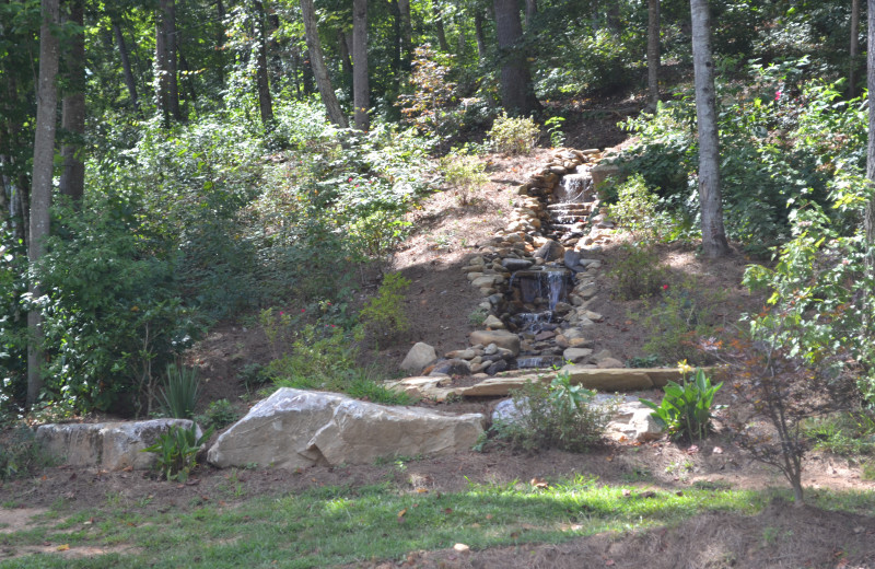 Stream at Sautee Mountain Retreat.