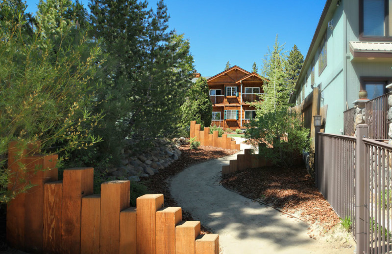 Red Wolf Lakeside Lodge Resort Condos Tahoe Vista Ca Resort Reviews