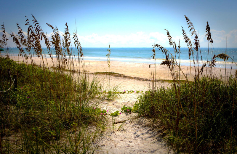 Beach at Casa Ybel Resort.