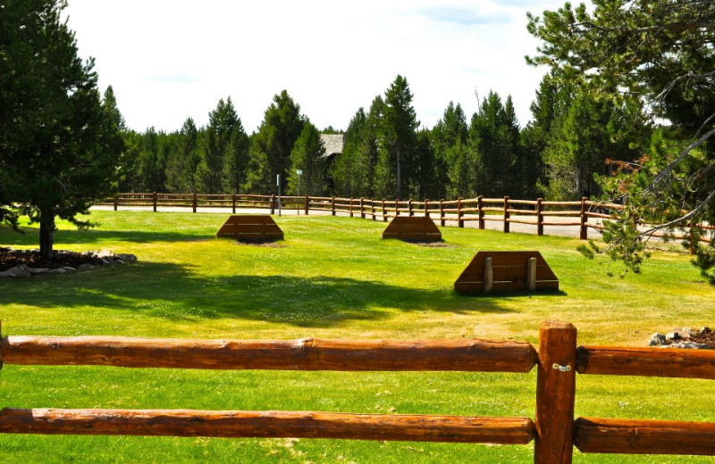 Grounds at Sawtelle Mountain Resort.