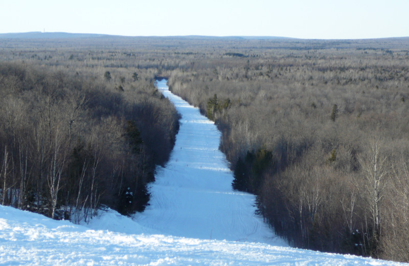 Snowmobiling trail at The Timbers Resort.