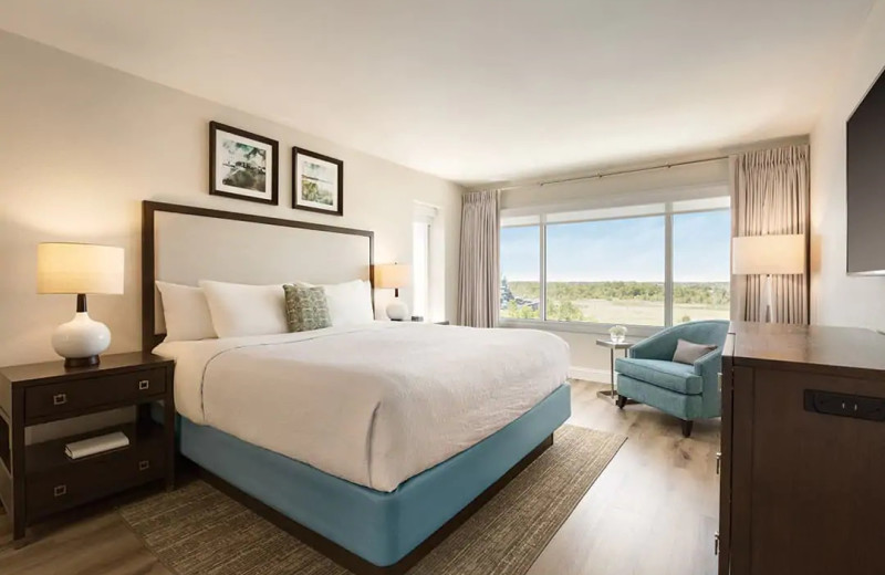 Guest room at Hilton Wilmington Riverside.