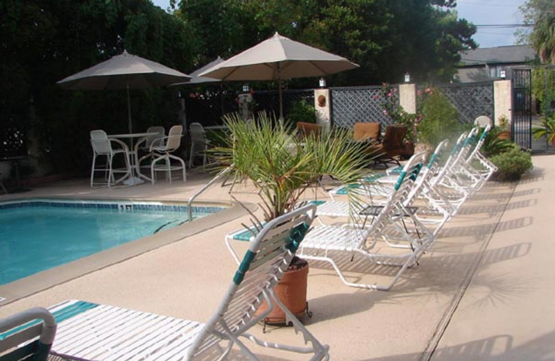Outdoor swimming pool at Serendipity Inn.