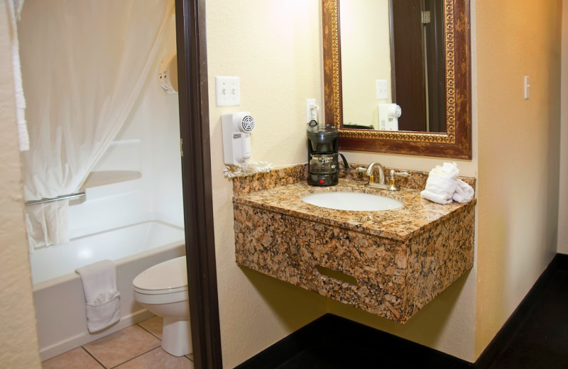 Guest bathroom at The Branson Stone Castle Hotel & Conference Center.