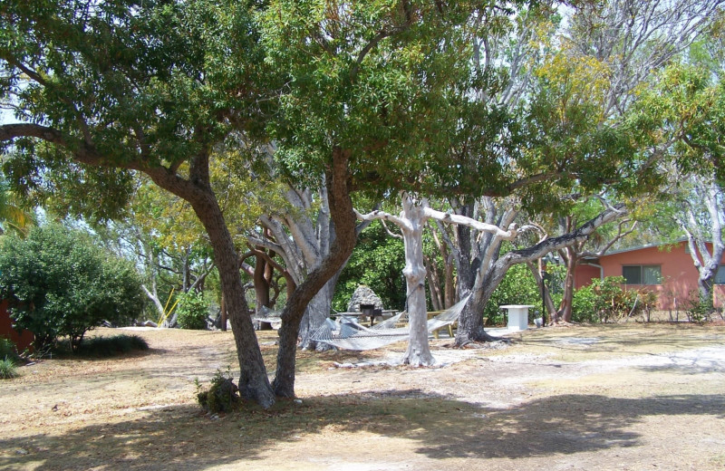 Exterior view of Rock Reef Resort.