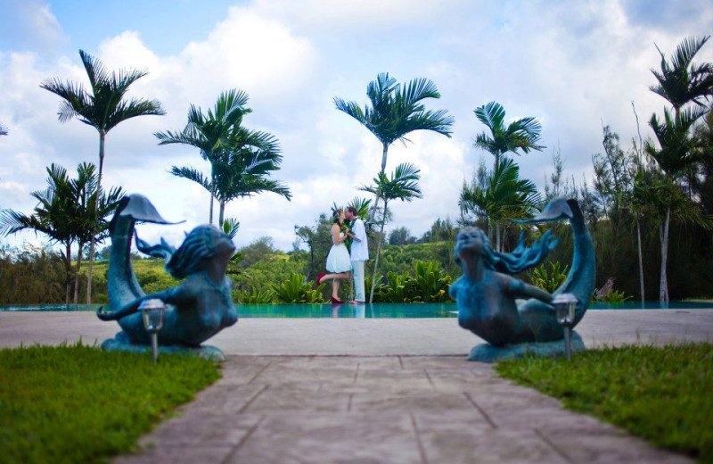 Weddings at Hawaii Island Retreat.