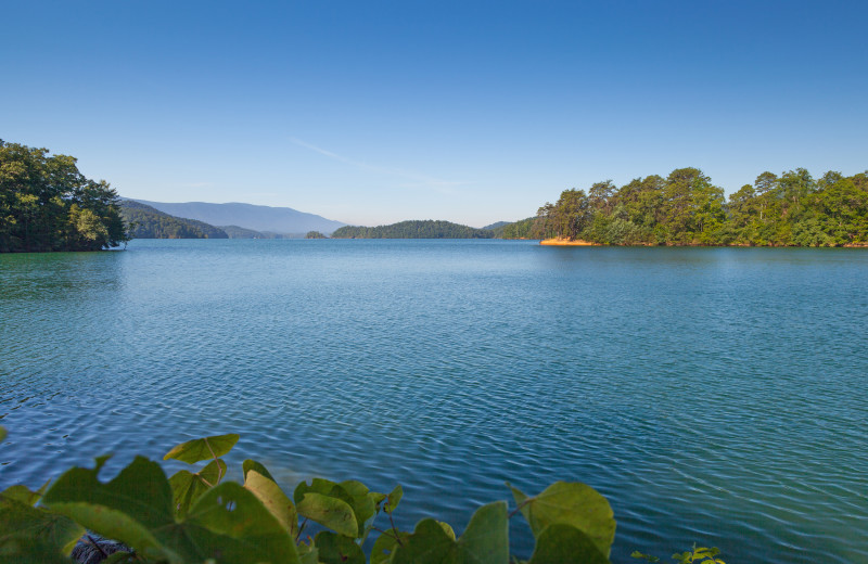 Lake near The River House.