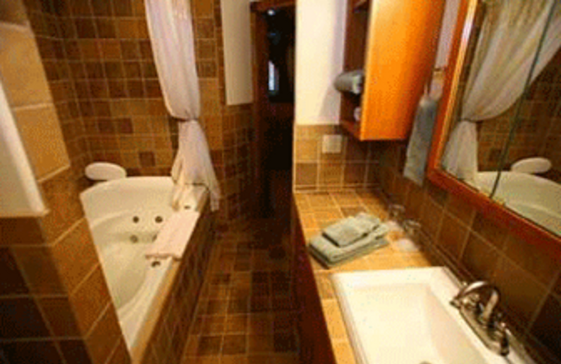 Guest bathroom at Carr Manor Historic Inn.