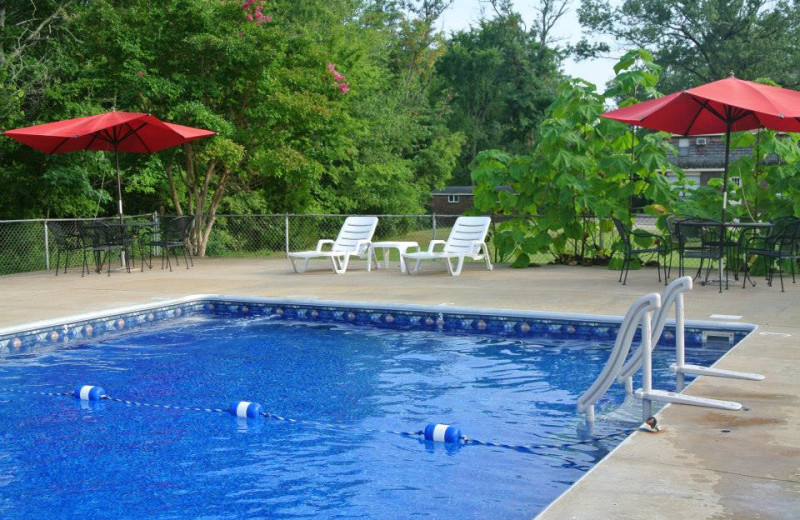 Outdoor pool at Mansard Island Resort & Marina.