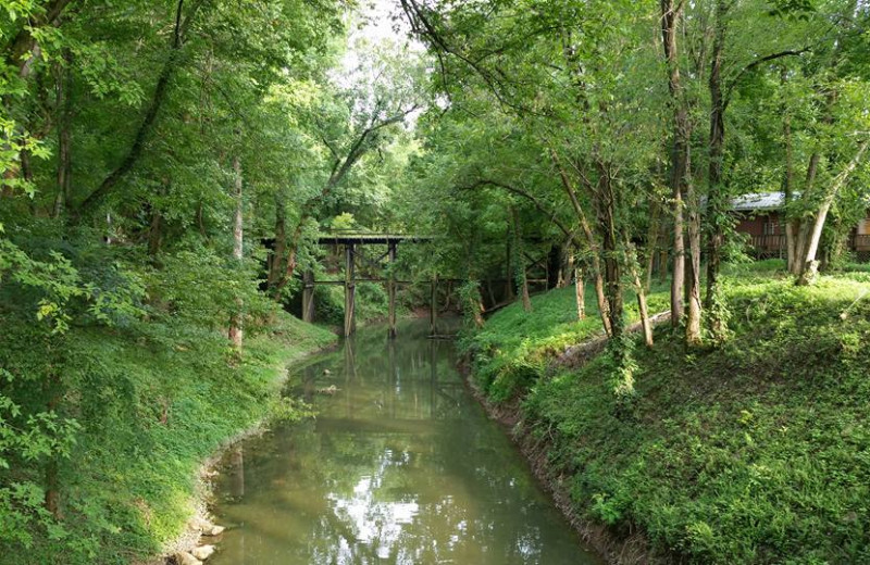 River at Lemley's Cedar Rock Inn.