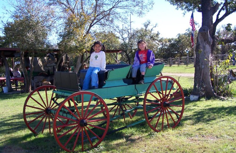 Kids in wagon at Twin Elm Ranch.